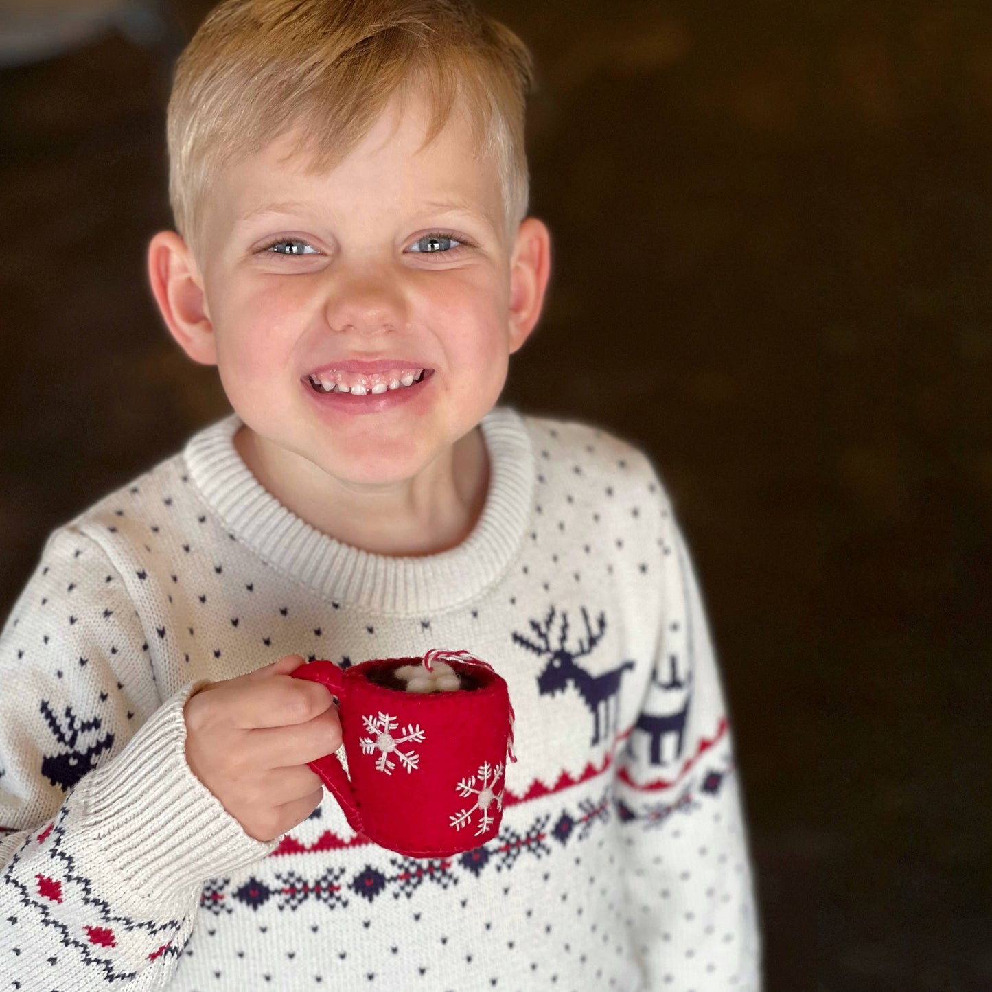 Hot Chocolate Felt Wool Christmas Ornament