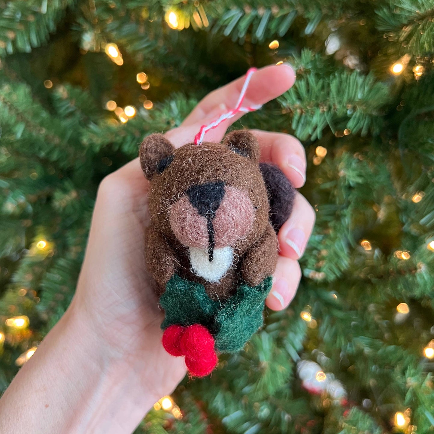 Animal Friends Christmas